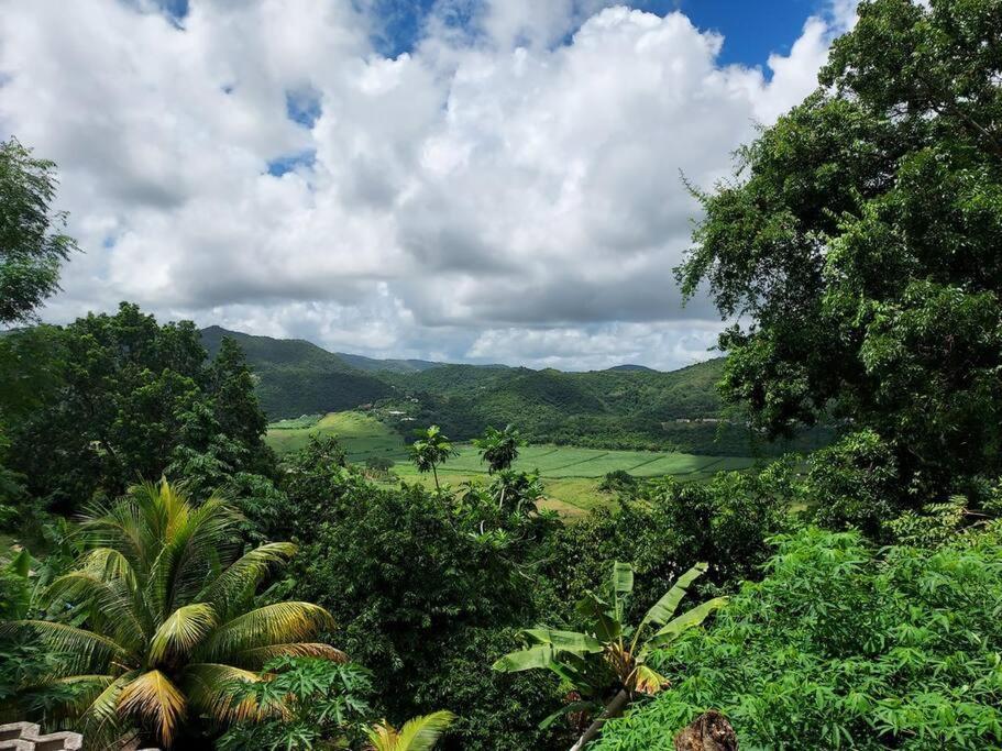 Appartement T2 Le Vallon Au Marin Martinique Le Marin 외부 사진